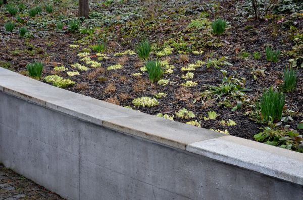 Cost of Concrete Wall Construction in Salt Lake City