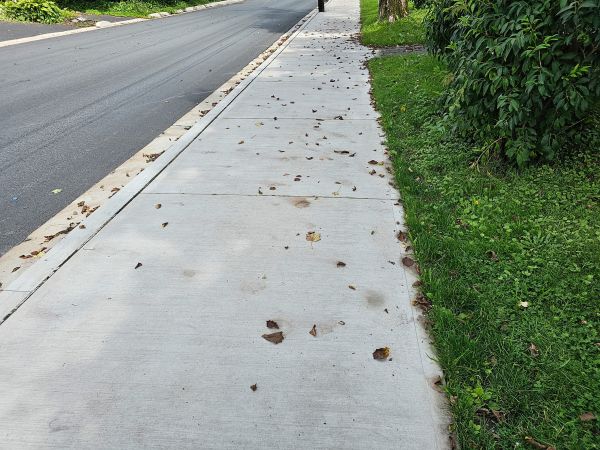 Cost of Sidewalk Renovation in Salt Lake City