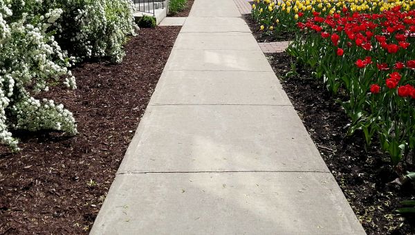 Cost of Cement Sidewalk Installation in Salt Lake City
